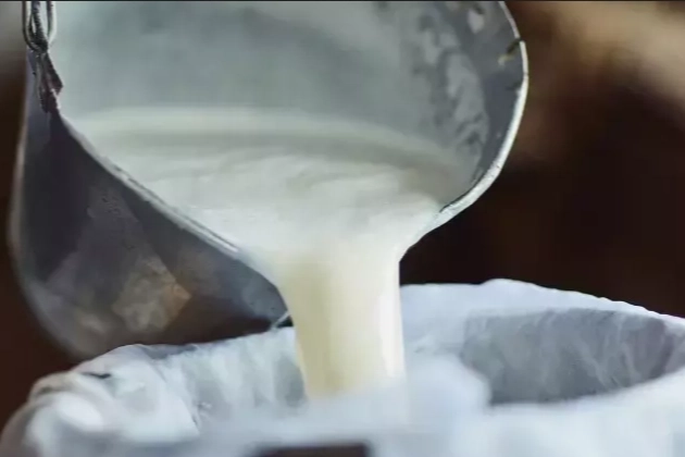 &Ccedil;iğ s&uuml;t &uuml;retimi 2025&rsquo;te geriledi! Manda ve ke&ccedil;i s&uuml;t&uuml; sert d&uuml;şt&uuml;!