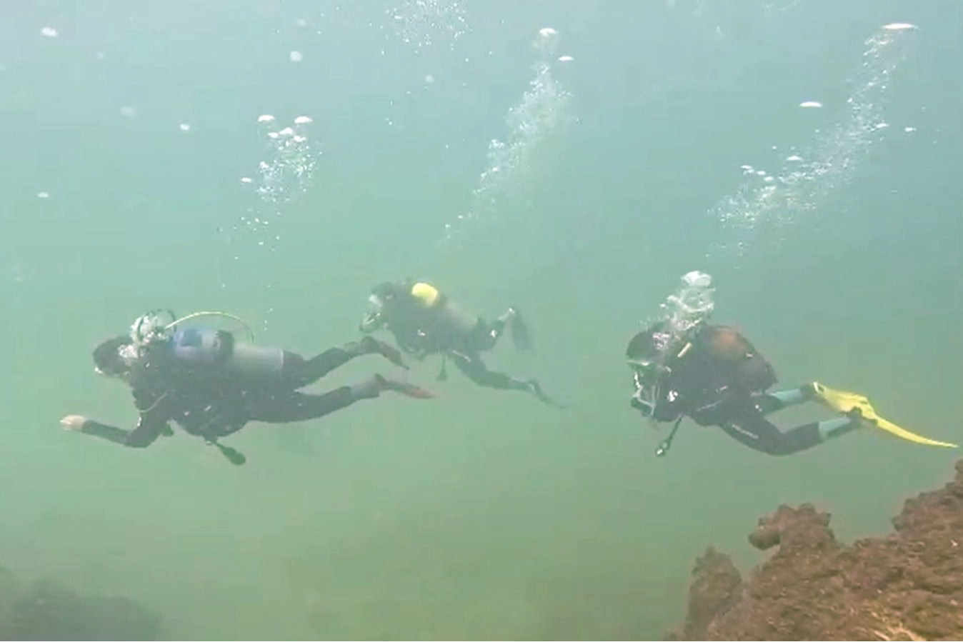 Van Gölü'nün zenginliğini keşfediyorlar