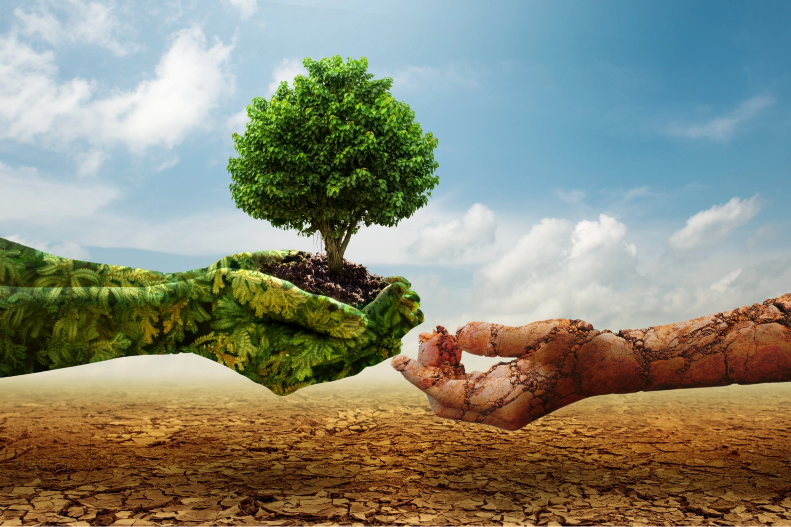 İklim riskleri mercek altında