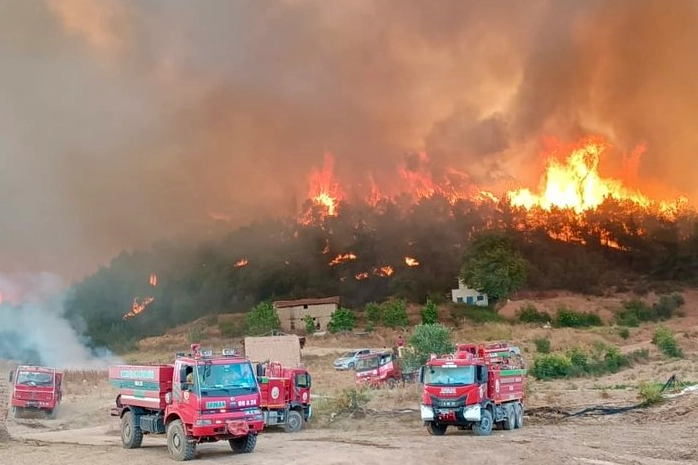 Orman yangınlarıyla mücadelede gönüllülere yeni haklar... Orman gönüllüleri de 'şehit' statüsüne alındı