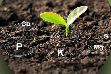 Antalya’da üreticiye tarım eğitimleri başlıyor