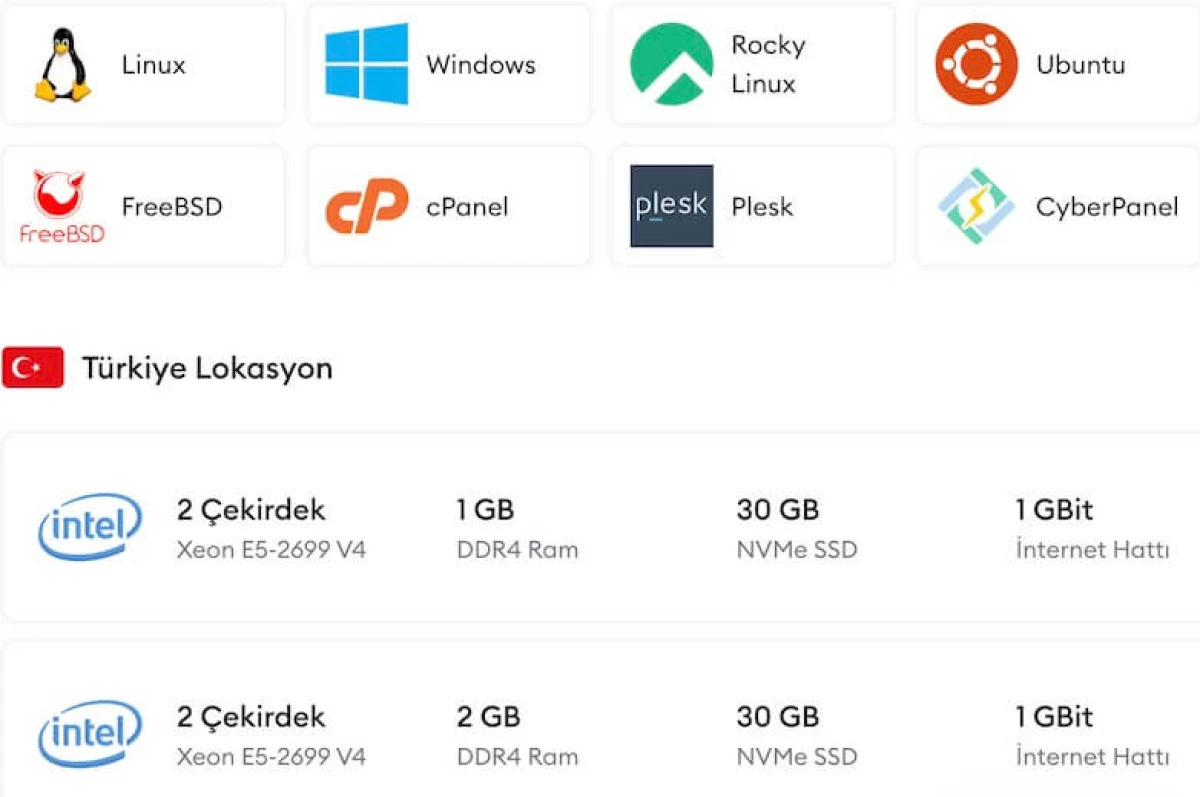 VDS Hizmetleri ile Dijital Altyapınızı G&uuml;&ccedil;lendirin